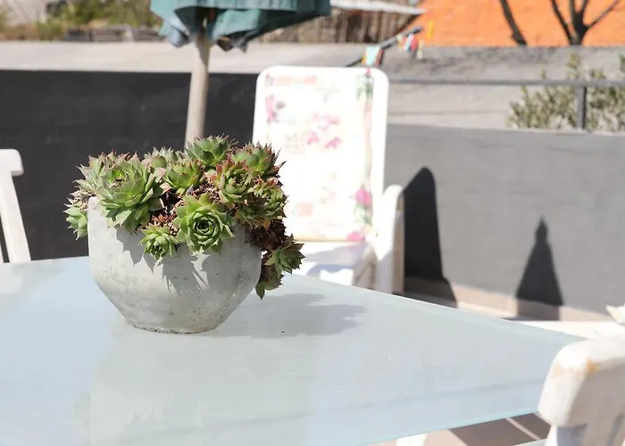 Апартаменты Dream